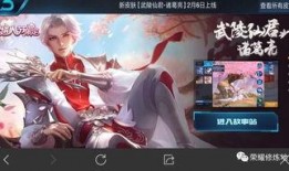 王者皮肤爆料最新琥珀多少钱,售价揭晓！